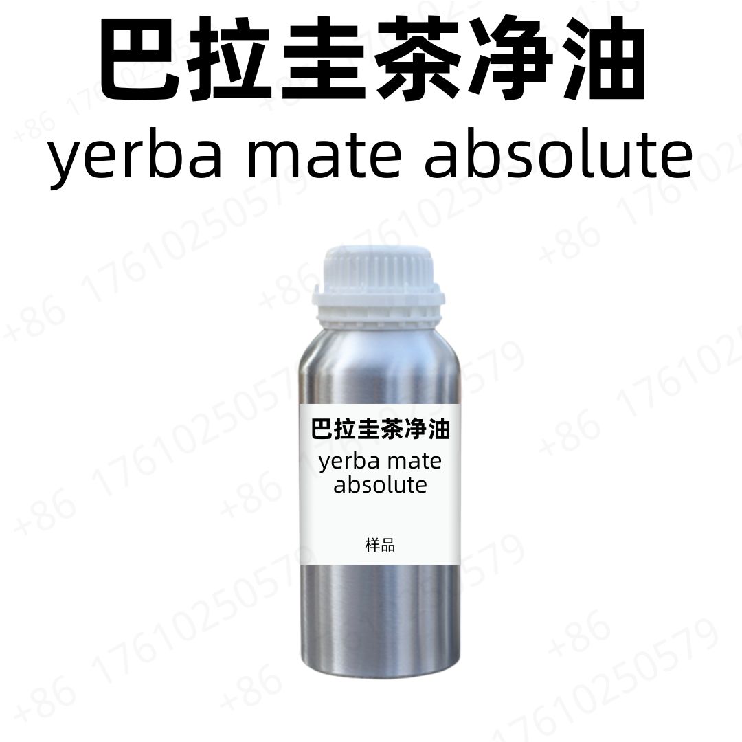Yerba Mate Absolute