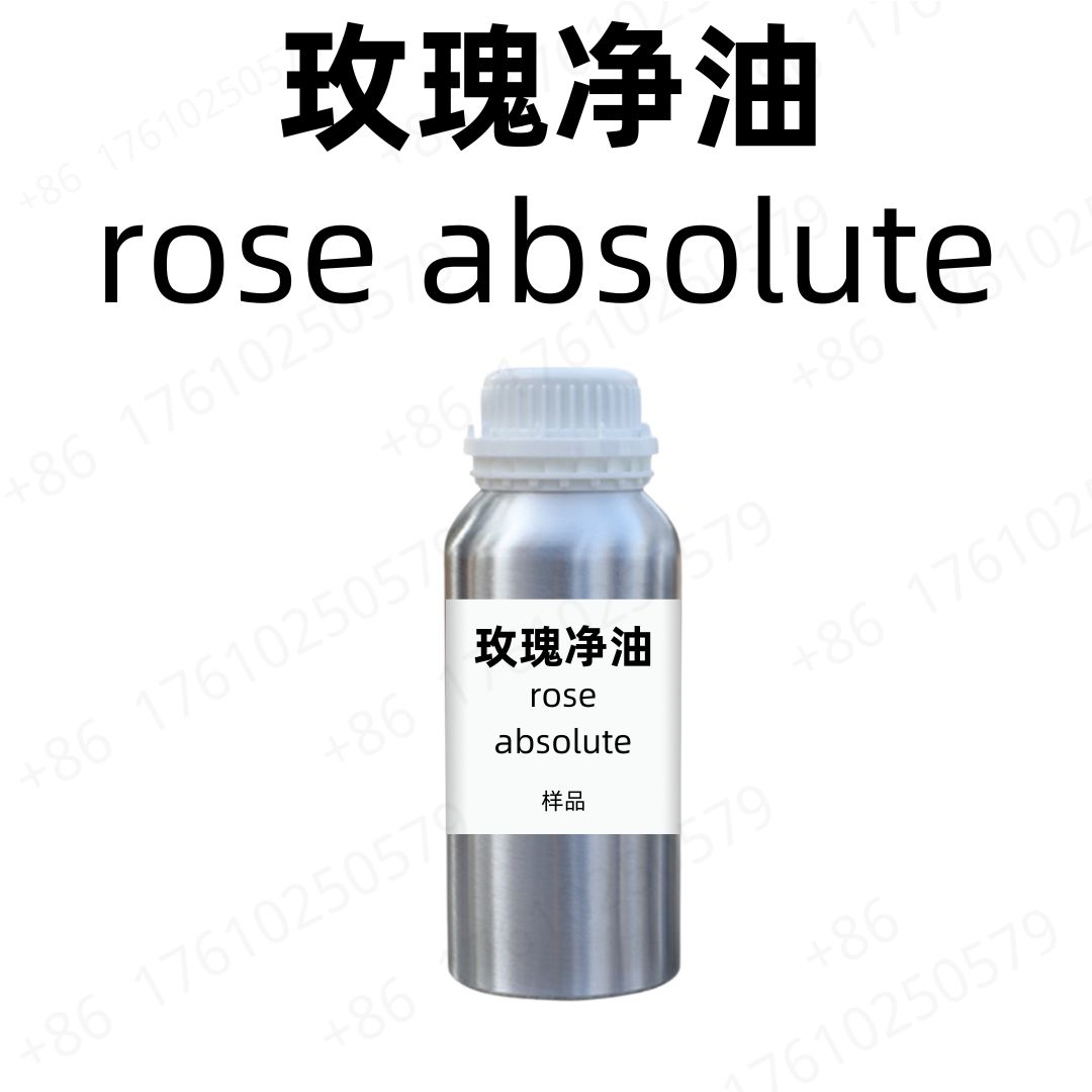 Rose Absolute