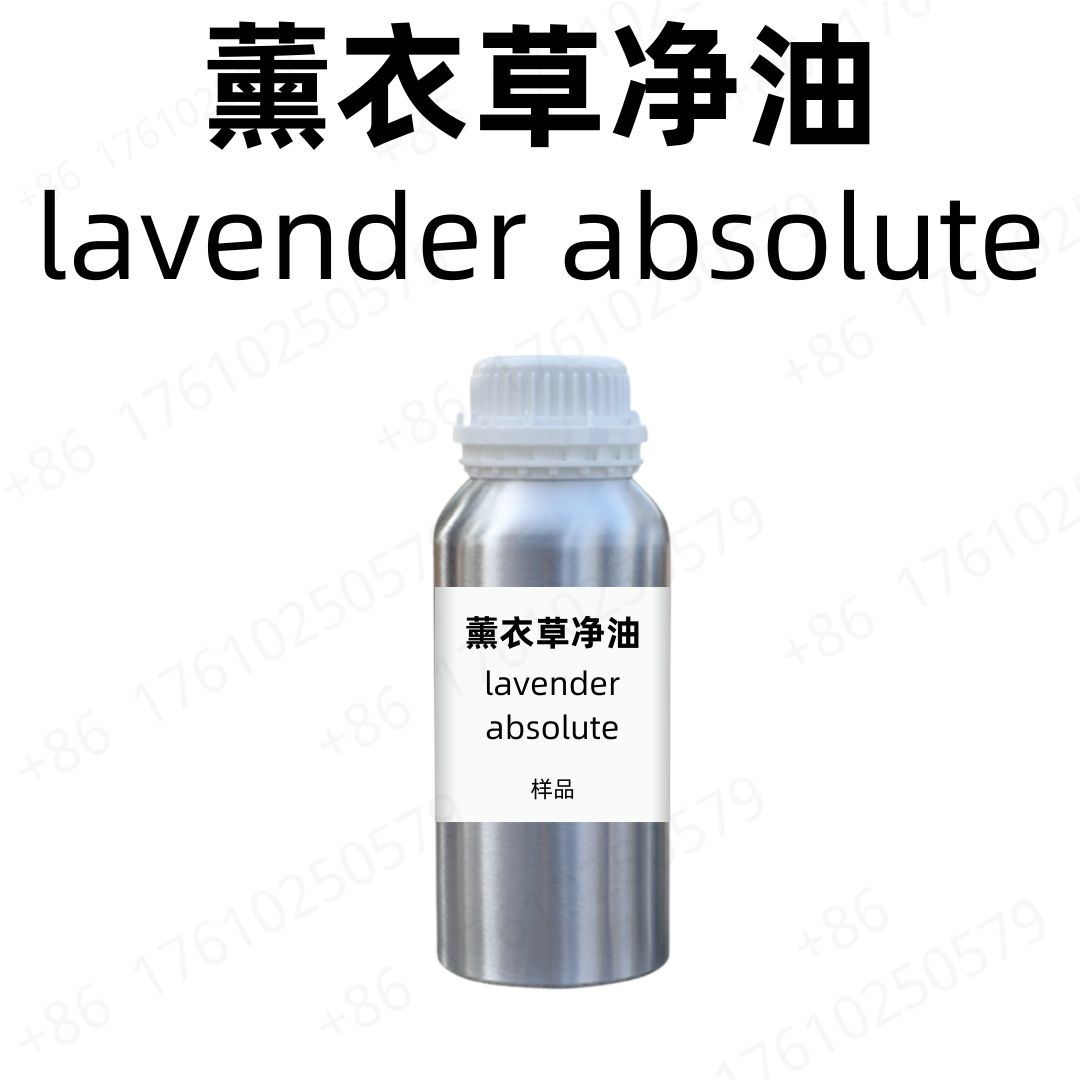 Lavender Absolute